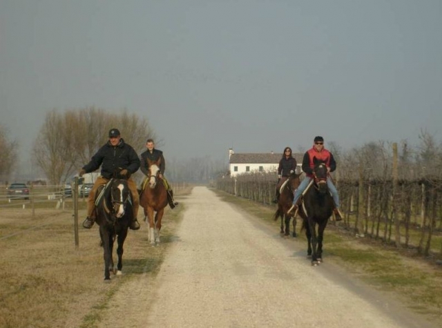 Passeggiate al galoppo